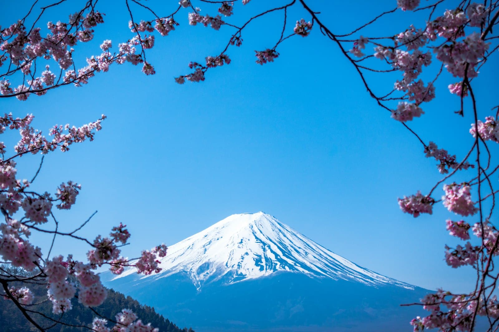 日本の風景